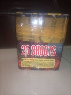 25 shooter cake only 2 piece