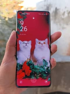 OPPO Reno 6 pro 5g