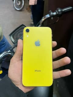 Iphone xr