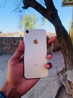 iPhone 7 32gb non pta factory unlock 03417059154 call