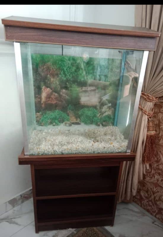 fish aquarium 0