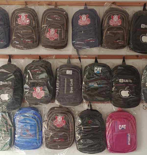 school and laptop bags 2