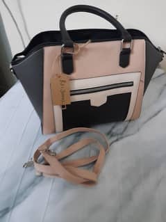 ladies handbag