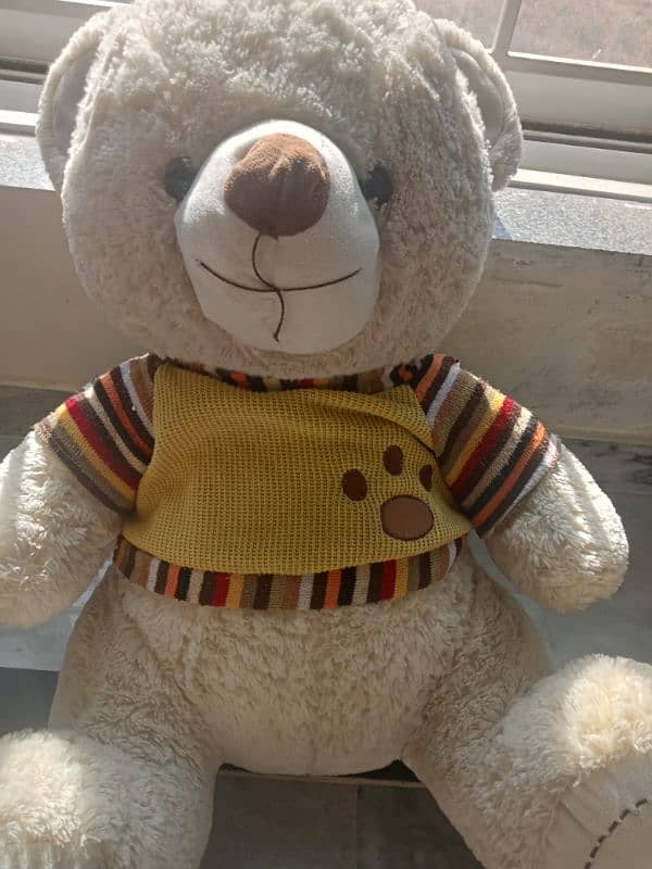 teddy for sale 0