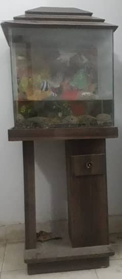 FISH AQUARIUM FOR SALE