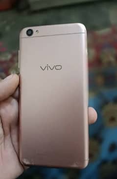 vivo