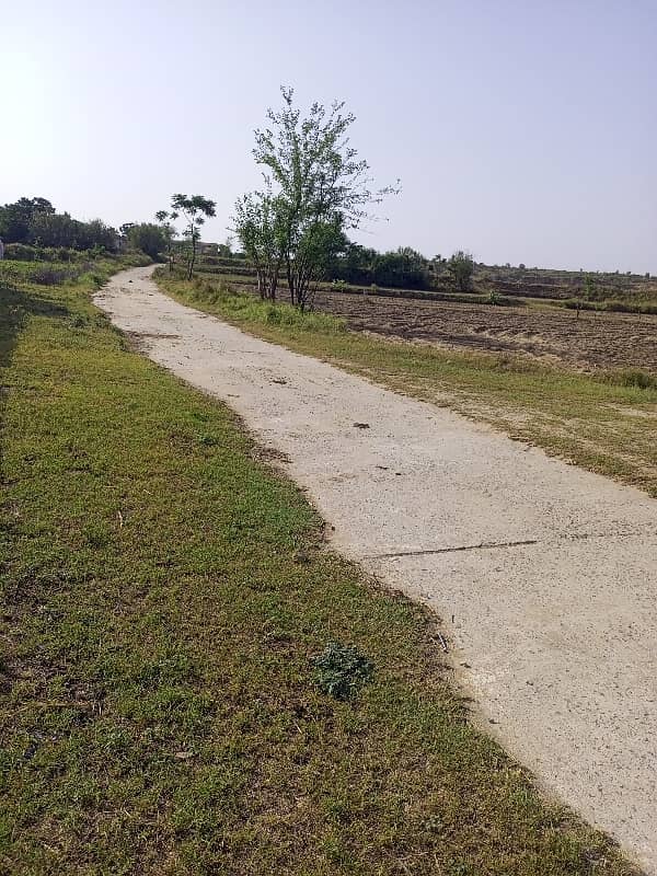 70 Kanal Agriculture Land For Sale In Mangwal 1