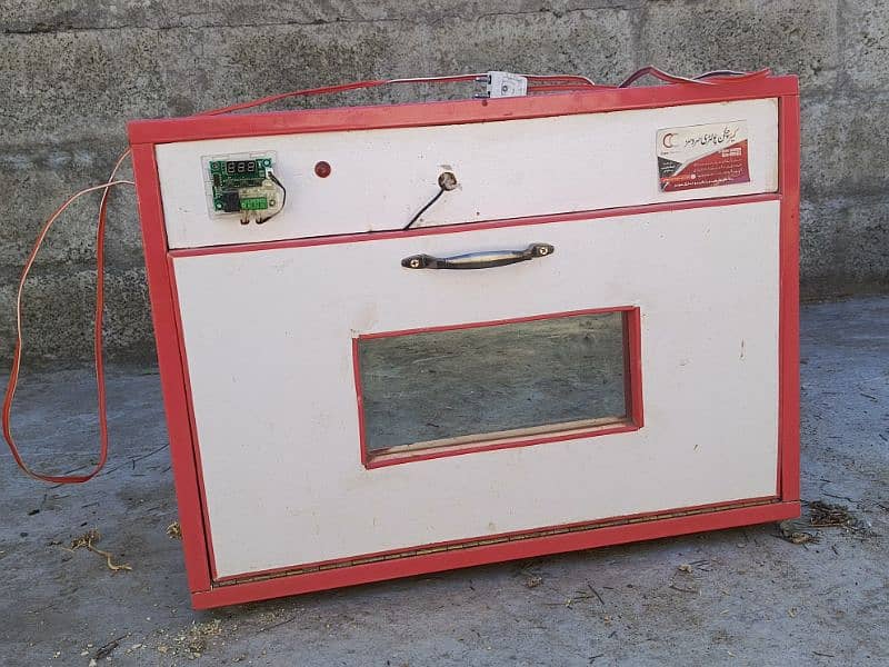 Eggs Hatching machine for sale | chicks machine for sale | Chick Hatch 0