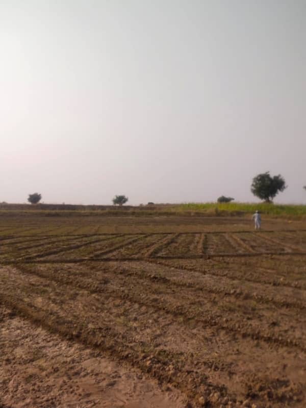 1300 Kanal Agricultural Land For Sale In Chakwal 0