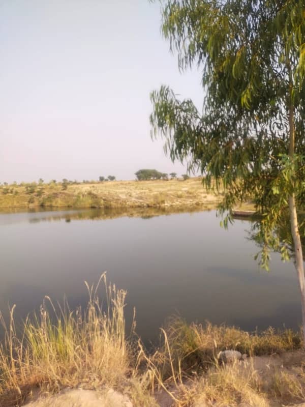 1300 Kanal Agricultural Land For Sale In Chakwal 20