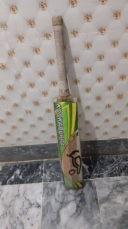 cricket kit with full equipments and used only 5 time 5