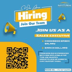 Sales Executives Hiring