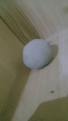 Dorodango