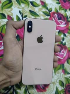 iphone Xs Golden Colour 256Gb