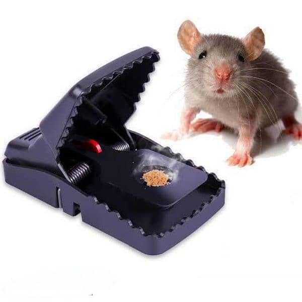 Heavy Mouse trap 4