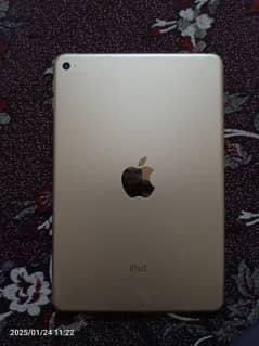 ipad Mini 4     (128 GB)