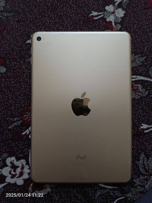 ipad Mini 4     (128 GB) 0