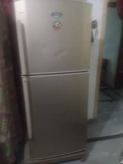 Haier fridge full size.