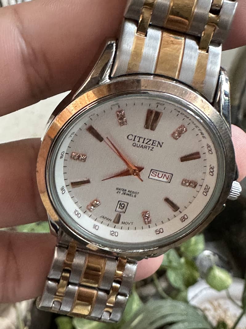 Citizen Watch 2