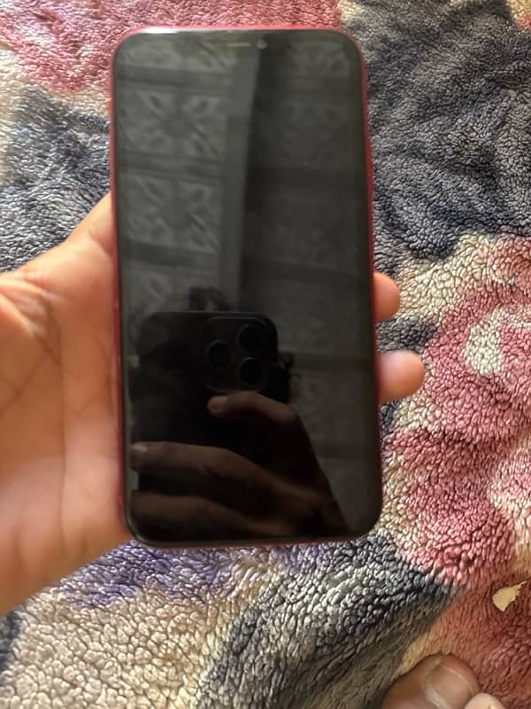 iPhone 11 non pta 2