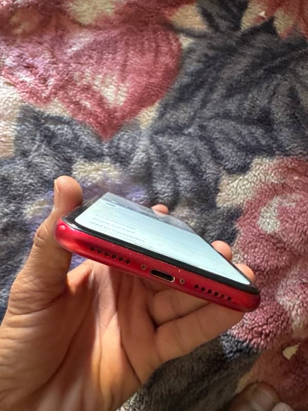 iPhone 11 non pta 3