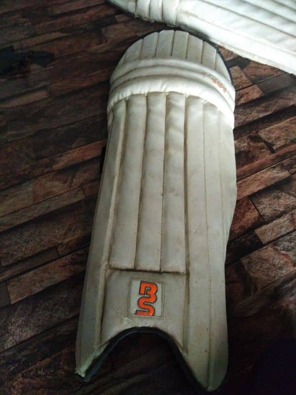 Cricket bat & Pad For Sale 0