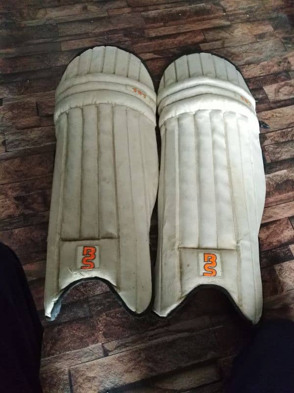 Cricket bat & Pad For Sale 2