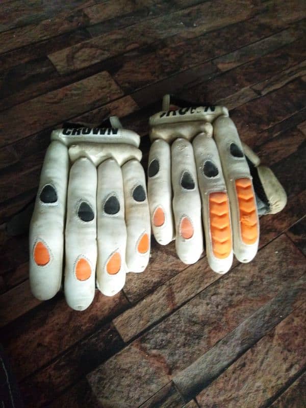 Cricket bat & Pad For Sale 4