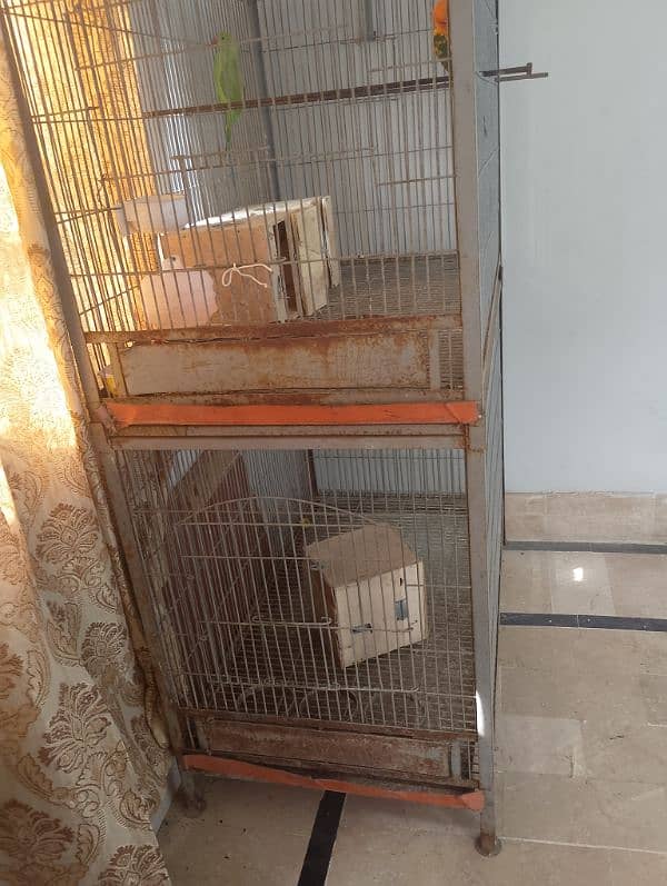 heavy cage for sale 3