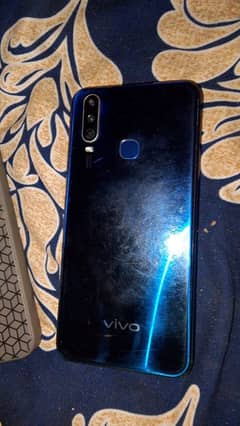 vivo