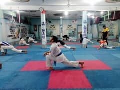 Gym Rubrr Tiles / Gym Mat / Wooden Floor / Vinyl / Wallpaper / Grass
