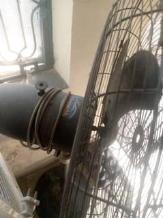 fan for sale