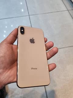 XS Max Pta Approved