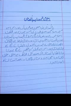 Professional Urdu & english assignment work in low cast