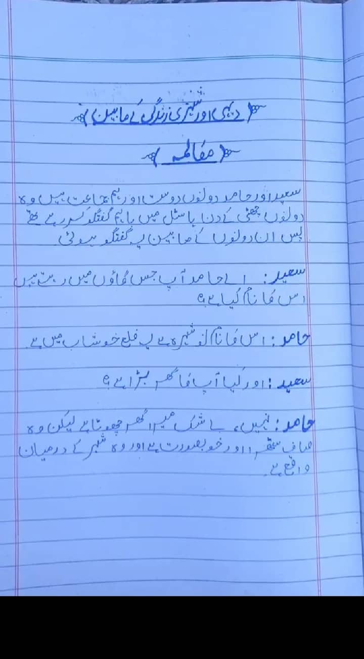 Professional Urdu & english assignment work in low cast 1