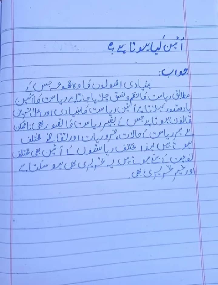 Professional Urdu & english assignment work in low cast 3