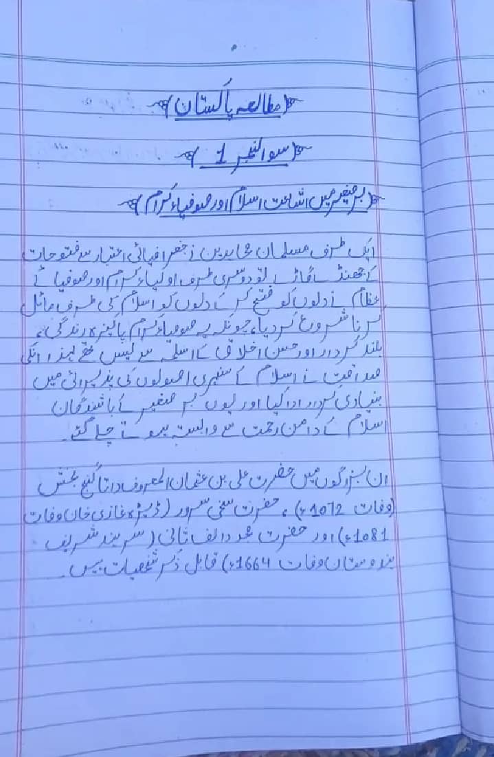 Professional Urdu & english assignment work in low cast 8