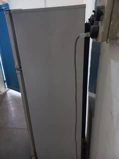 PEL GENUINE FRIDGE