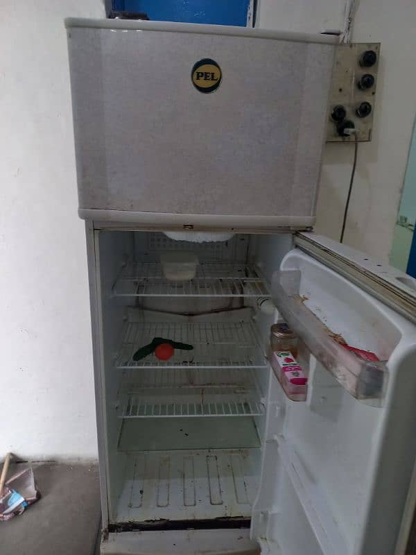 PEL GENUINE FRIDGE 5