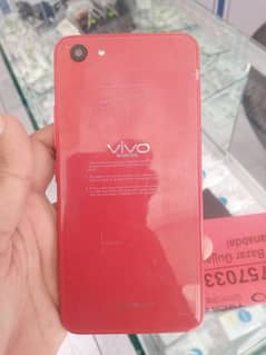 vivo