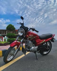 Yamaha YBZ 2019 for urgent sale