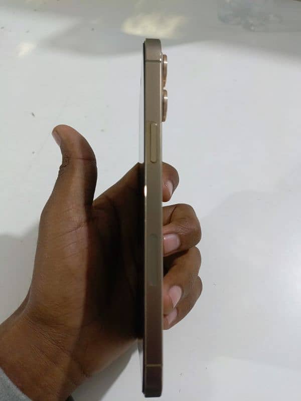 i phone 12 pro max golden colour 1