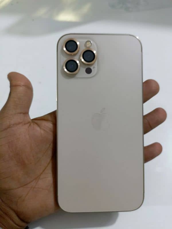 i phone 12 pro max golden colour 2