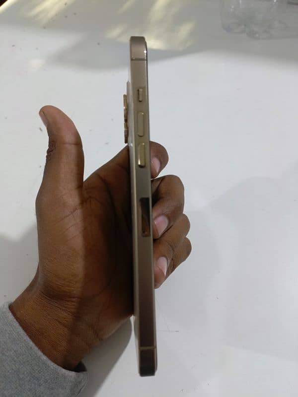 i phone 12 pro max golden colour 3