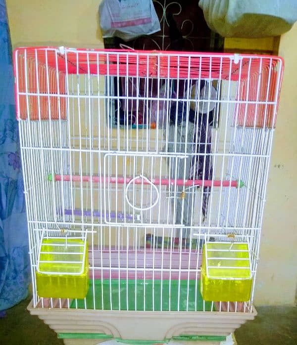 for sale cage کنیری کیج 0