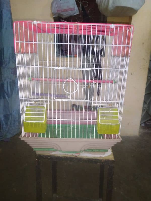 for sale cage کنیری کیج 1