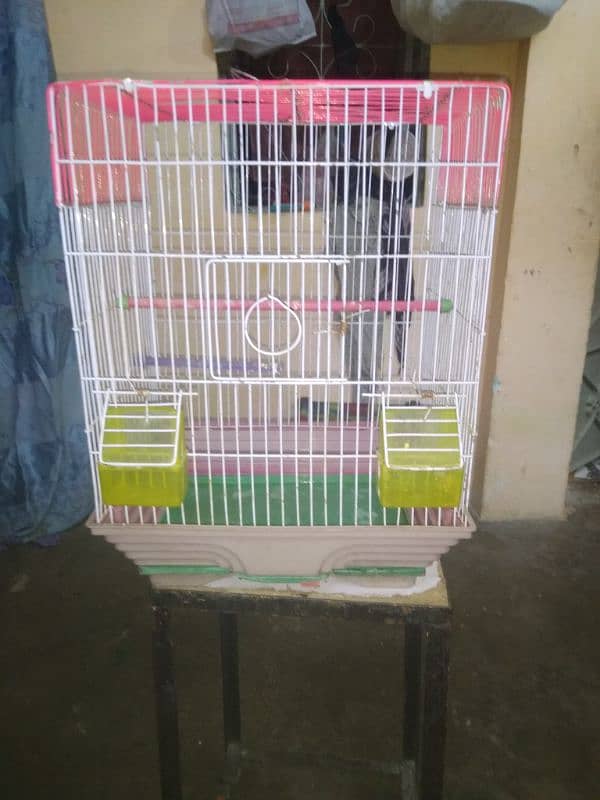 for sale cage کنیری کیج 2