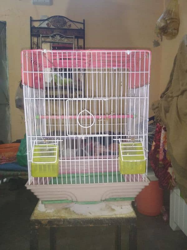 for sale cage کنیری کیج 3