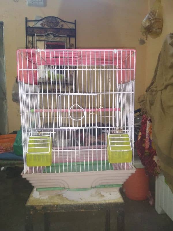 for sale cage کنیری کیج 4