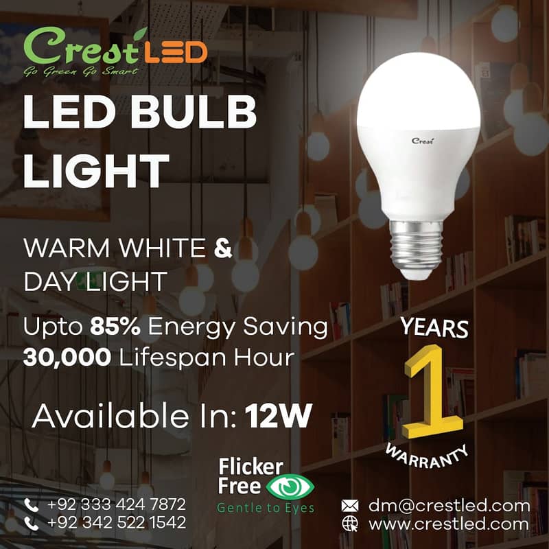 LED Light Bulb 1